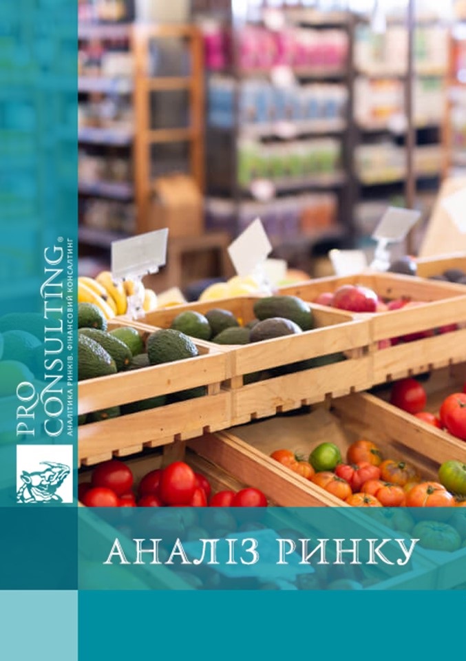 Аналіз операторів ринку продовольчих товарів у країнах Європи. 2024 рік